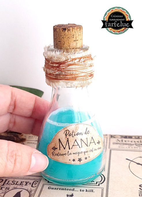 Enchantement décoratif  -  La Potion de Mana