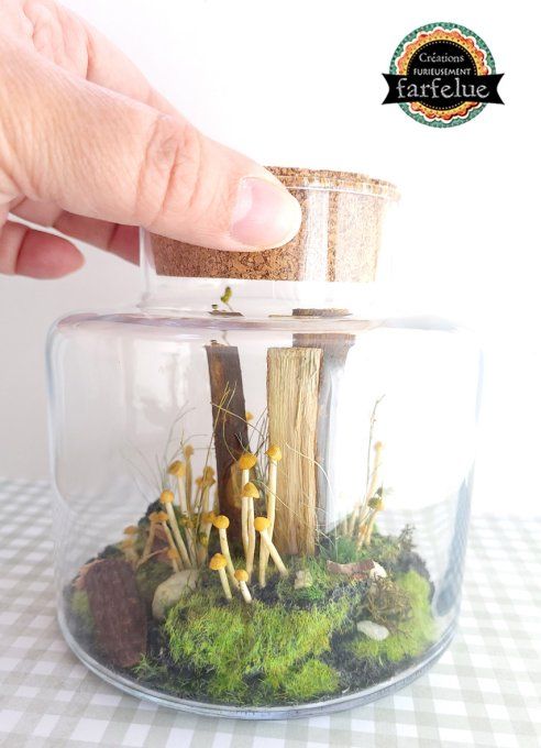 Terrarium Champêtre