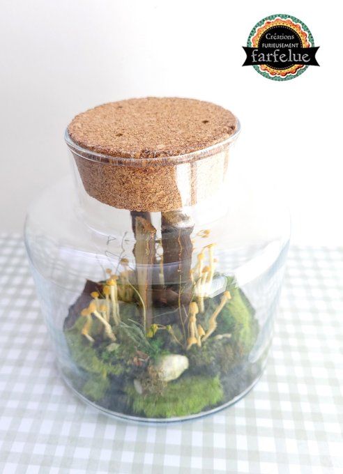 Terrarium Champêtre