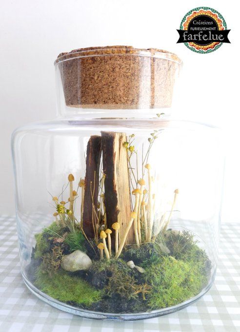 Terrarium Champêtre