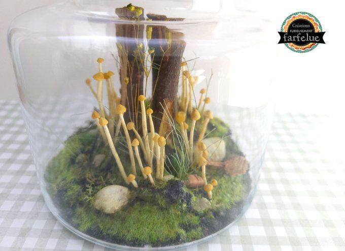 Terrarium Champêtre